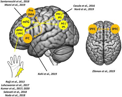 Modulating Frontal Networks’ Timing-Dependent-Like Plasticity With Paired Associative Stimulation Protocols: Recent Advances and Future Perspectives